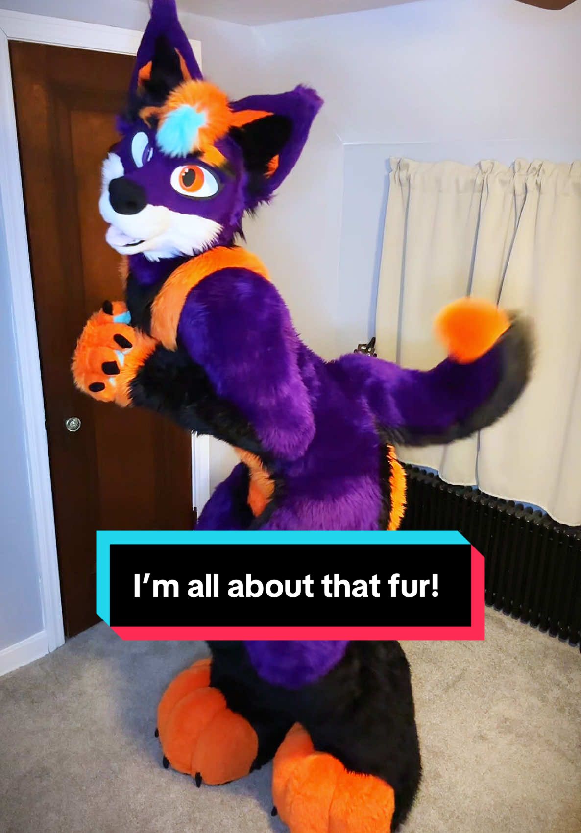 🐺 I’M ALL ABOUT THAT FUR! 🐕 🤗 Let’s Snuggle! 🤗  #fur #furrydance #furries #furry #fursuit #fluff #SpOOkee #dance #furrysong #furrypride #fullsuit #anthro