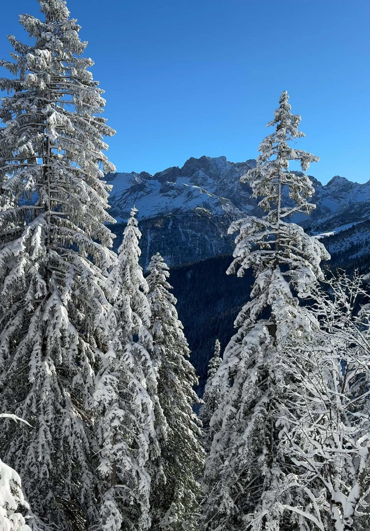 Wanderung im Garmisch Classic am Winterwanderweg ausgehend vom Kreuzeck mit wunderschönen Ausblicken #alpen #nature #mountains #sonne #schnee #snow #wintervibes #winterwonderland #garmischpartenkirchen #zugspitze #ski #kandahar #wandern 