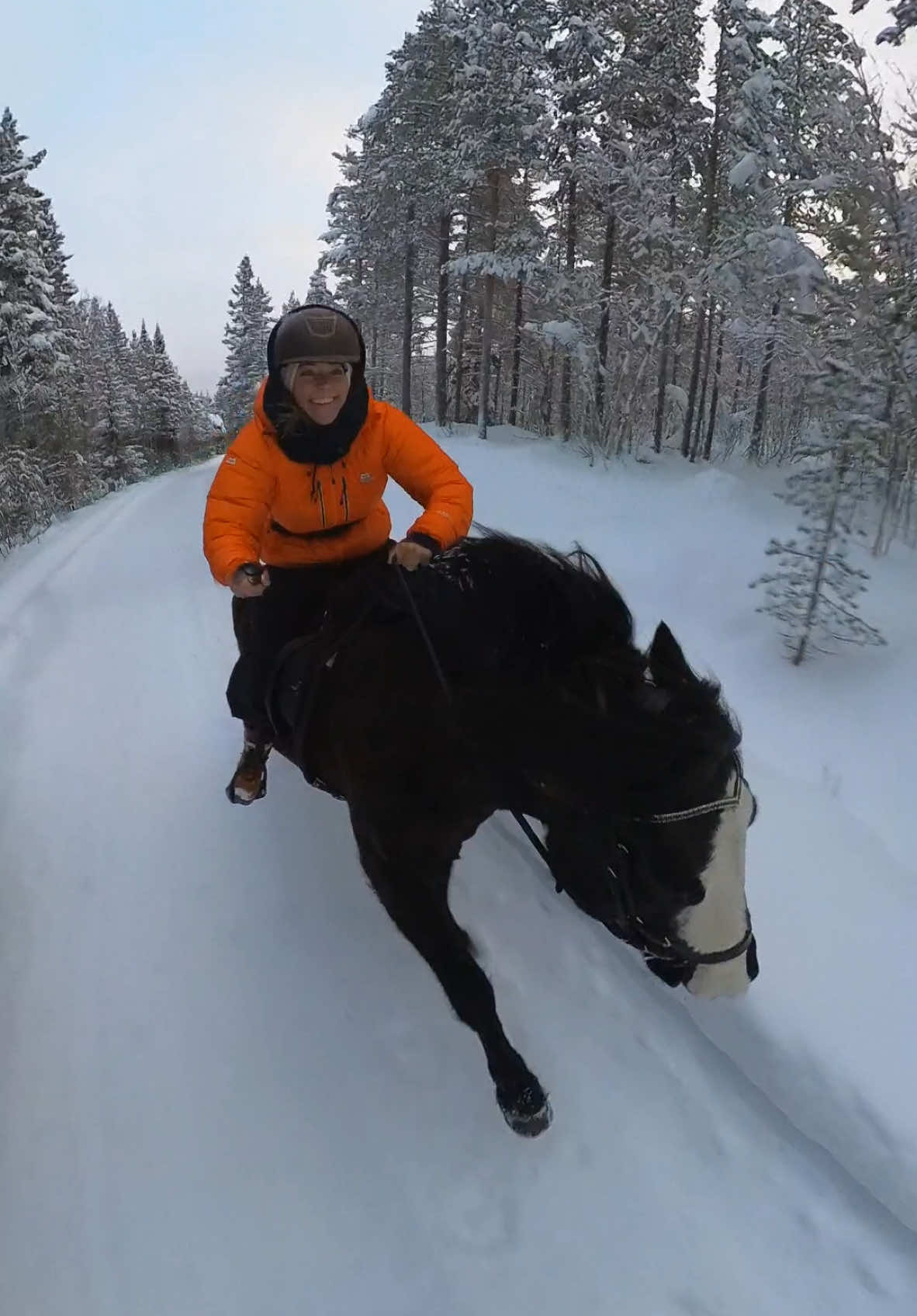 Fast, fearless, and free 🐎💨 Riding through our mountain backyard ❄️🐴 #HorseRiding #EquestrianLife #mountains #riding #winterride #horse ##equestrian #geilo #norway #mountains #horselover #horsesoftiktoktok #fyp 