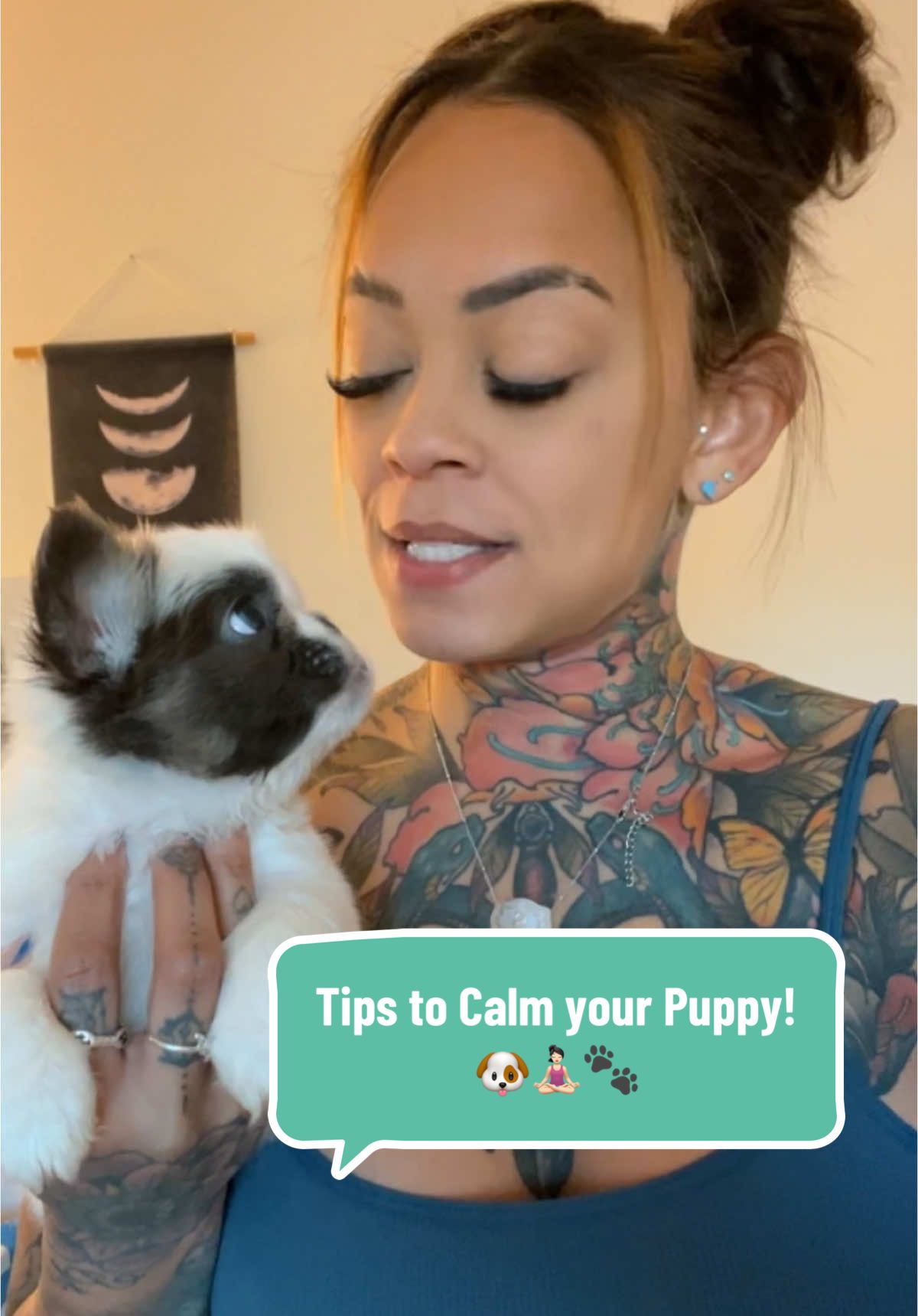 Tips to Calm your Puppy! 🐶🧘🏻‍♀️🐾 Sooo I heard you have the #puppyblues I got you! #newpuppy #puppytraining #puppytips  