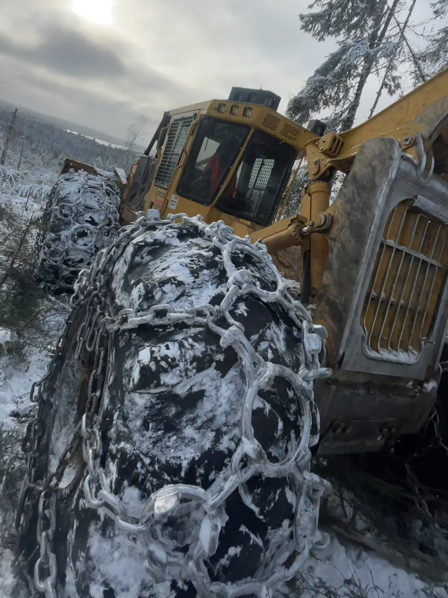 Tigercat EXTREME FOREST MACHINE @jakemaxwell639 Channel Nature is neat🌲#grumier #amazingdriver #truckdriver #extremeineamm #canadianlogging #cablelogging #steepslopespecialist #buncher #logging #caterpillar #claas #johndeere#newholland#case2024 #steepslopelogging