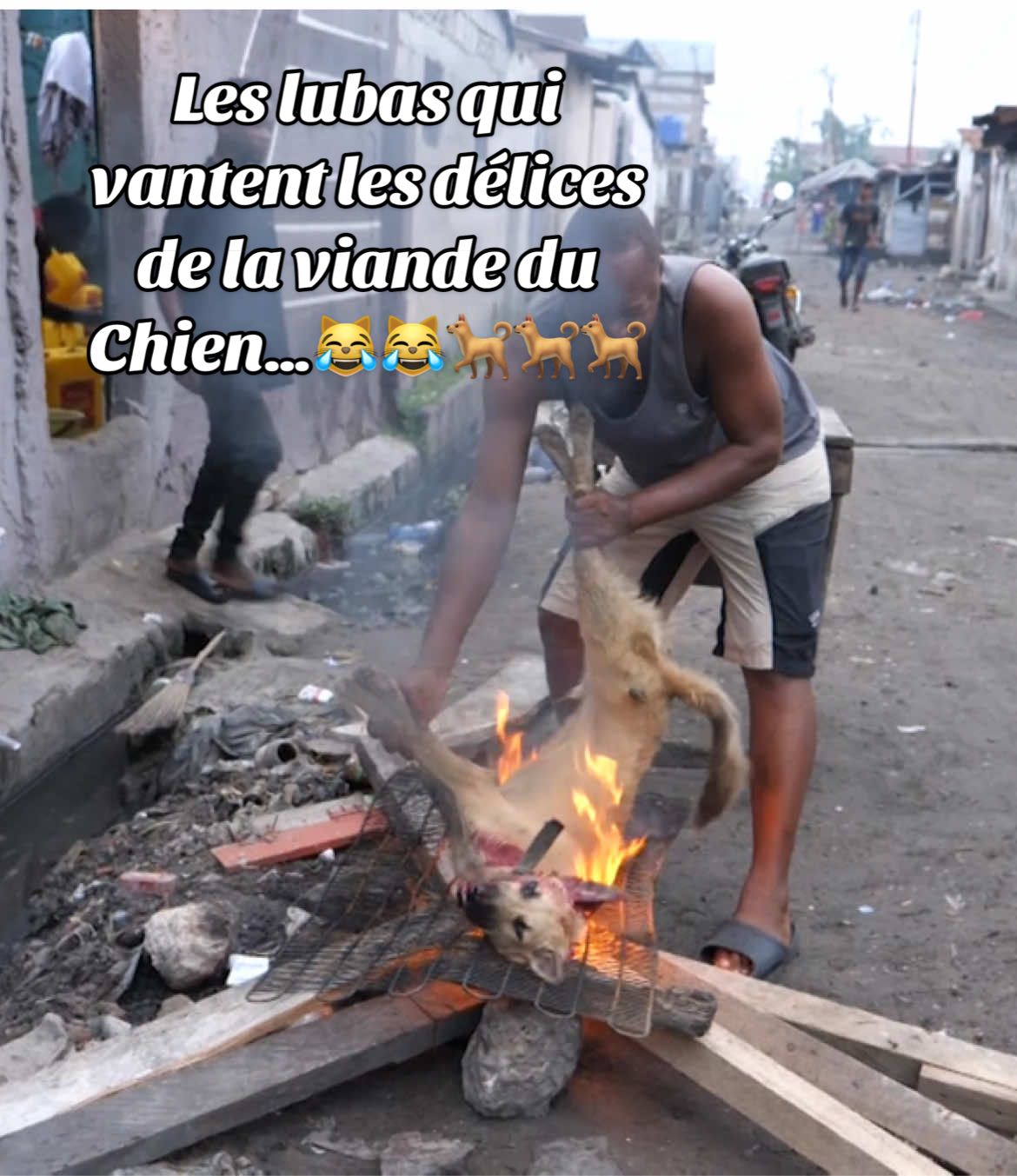 Les lubas qui vantent les délices de la viande du Chien… ATA mokonzi ya Mboka, soki otuni ye Aza nango misatu na congélateur😹😹😹 #pourtoi #creatorsearchinsights #kinshasa🇨🇩 #congolaise🇨🇩 #congolaise🇨🇩 #tiktokviral #tiktokafrique🇹🇬🇨🇩🇨🇮🇧🇯🇬🇦🇨🇲🇬🇦 #felixtshisekedi  @Tatu séraphin alias Djikatambu 