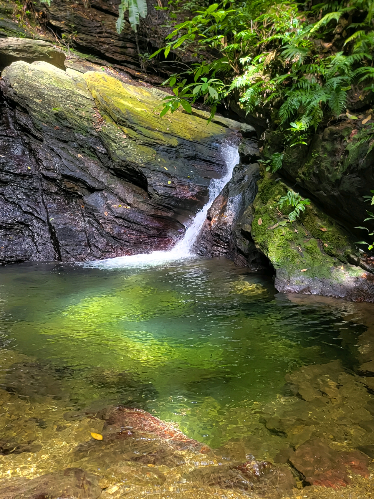 Paradise is exactly like where you are right now 🇹🇹 #trinidadandtobago🇹🇹 #caribbean #fyp 