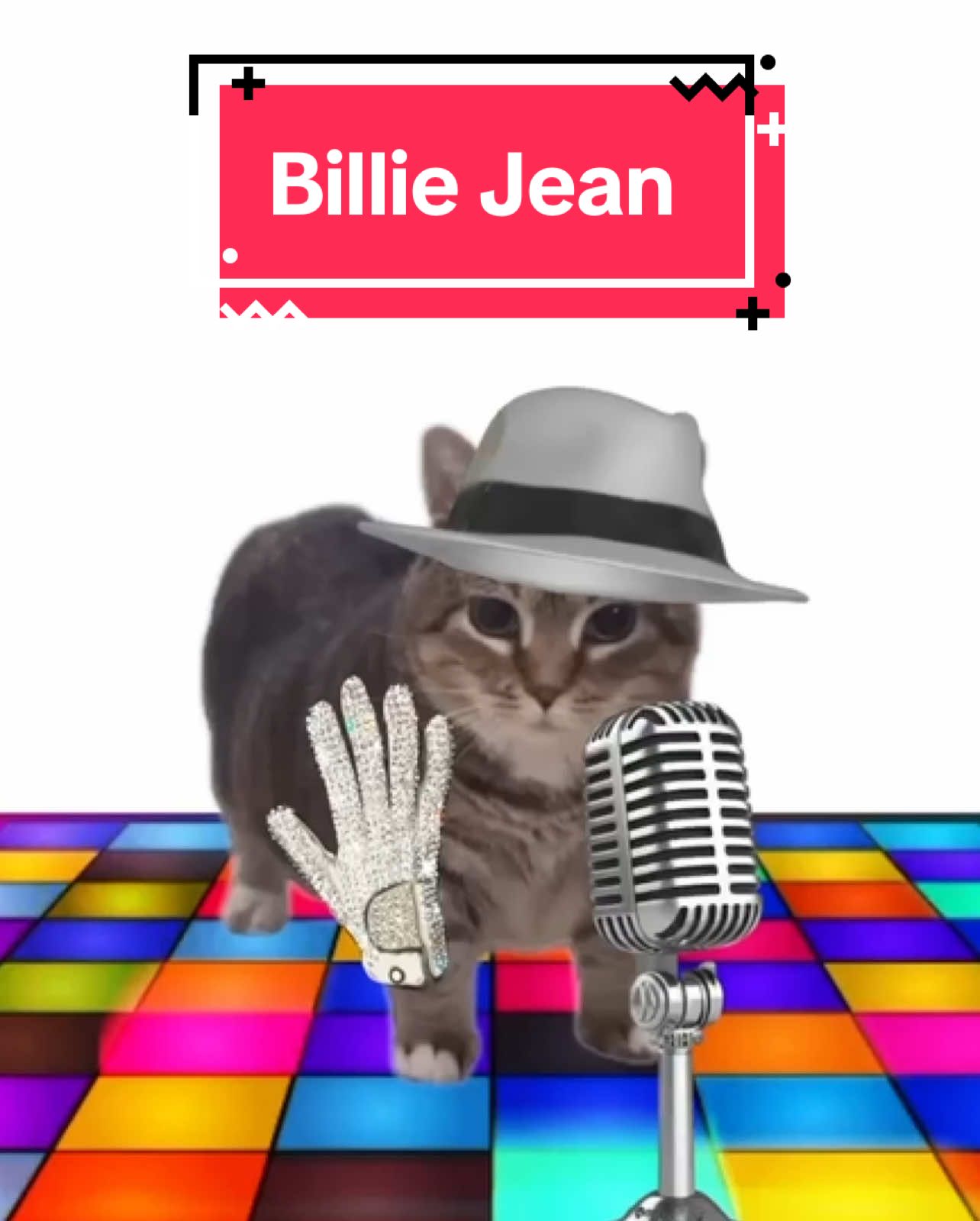 OIA cat sings Billie Jean! #cats #catsoftiktok 