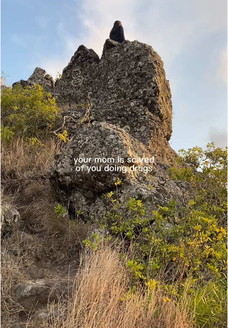 When you are the stubborn girl in the family 🤪 #mountainhike #adventure #mauritiusexplore #hikers #nature #risktakers #girlonadventure #dreamchaser @niti_shuuu 