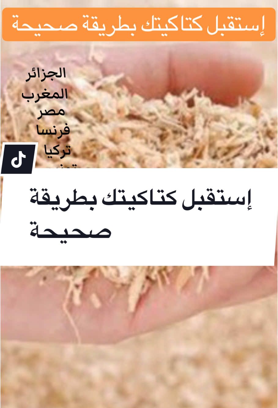 إستقبل الكتاكيت بطريقة صحيحة  Saluez les poussins correctement Mr.mustapha#تربية الدجاج #puossin #broiler #كتاكيت #performance #chiken #nutrition #broilers #تغذية 