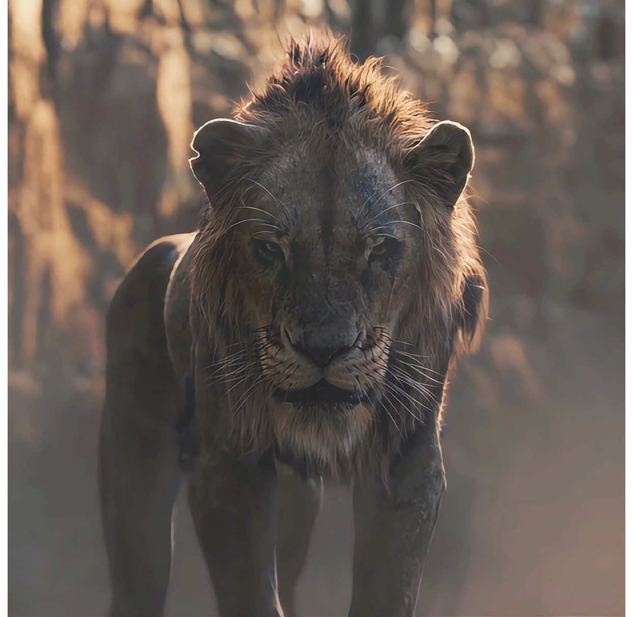 Simba must break through his inner demons in order to defeat Scar#thelionking #scar #simba #edit #movie 