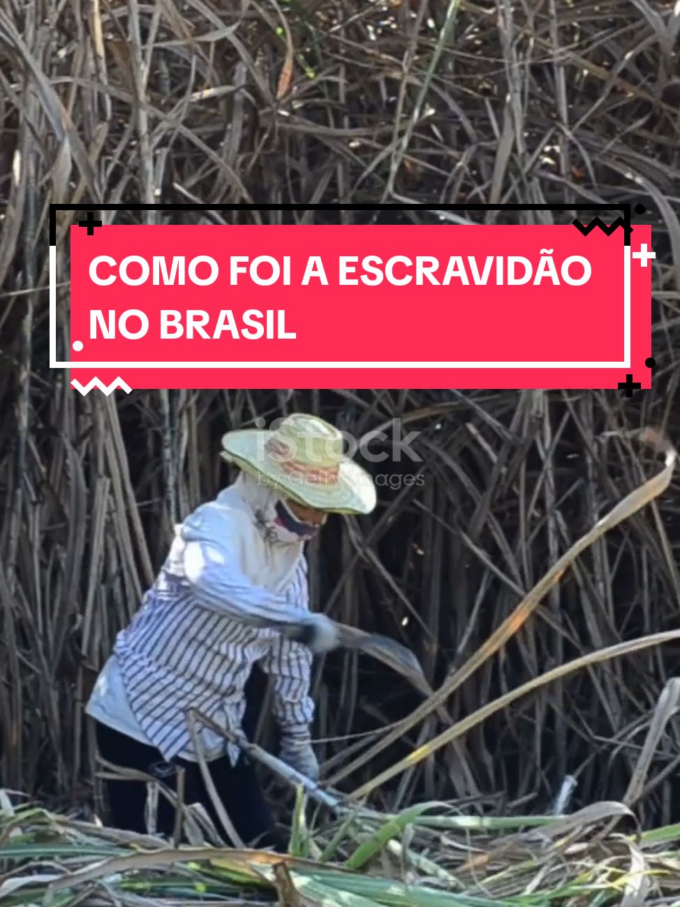 COMO FOI A ESCRAVIDÃO NO BRASIL #curiosidades #ciencia #fyp #foryouu #brasil 