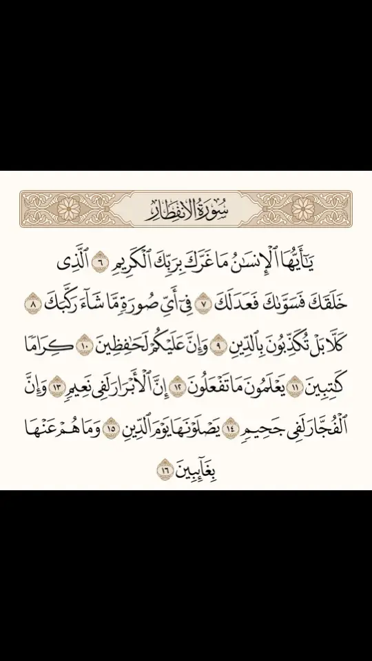 #القراءن_الكريم #القران_اطمئنان_لقلبك #القران_نعمة_من_عند_الله #القران_صاحب_لا_يترك_صاحبه_يوم_القيامه🌴 