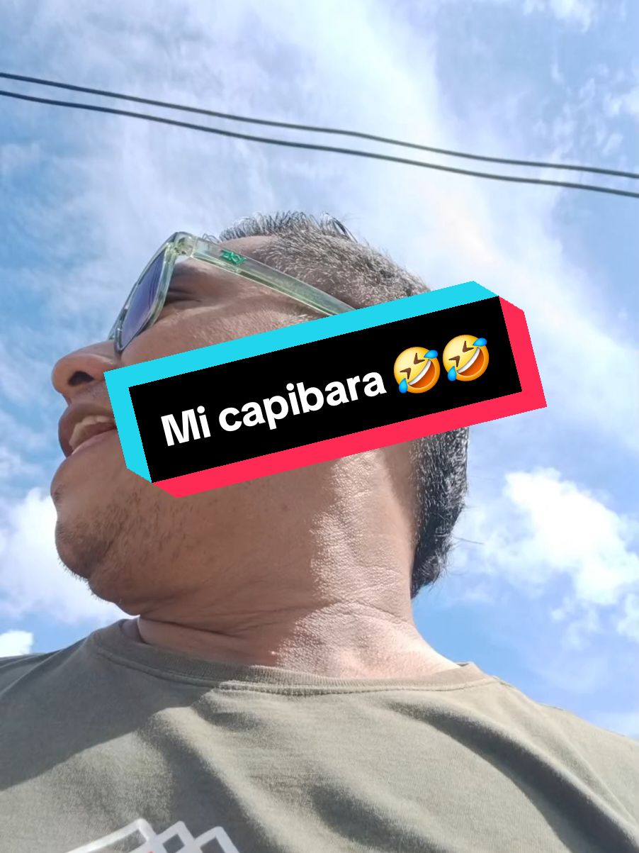 Mi capibara 🤣🤣 #carlitosml #humor #humoryrisas #capibara #iquitos_peru🌴🌴♥️♥️♥️♥️