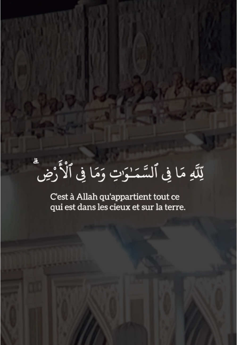 🎙Sheikh Shuraim - Sourate Al Baqarah 284-286 #quran #coran #shuraim #pourtoi #fyp 