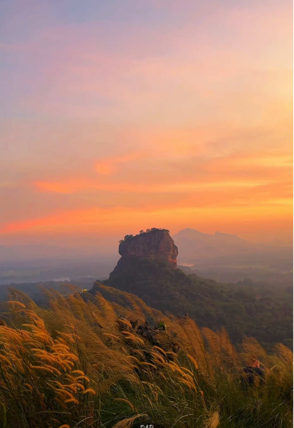 දේව වෙස් ගත් මිනිස්සුත්  මිනිස් වෙස් ගත් දෙවි වරුත්  නොදැනගෙන  අතර හිද ලියන්නම්. ඇත්ත හෙට තරම් ඈතයි. - dap #sigiriya #king #bestplace #reality 