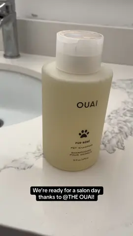 @THE OUAI  #dog #dogs #dogsoftiktok 