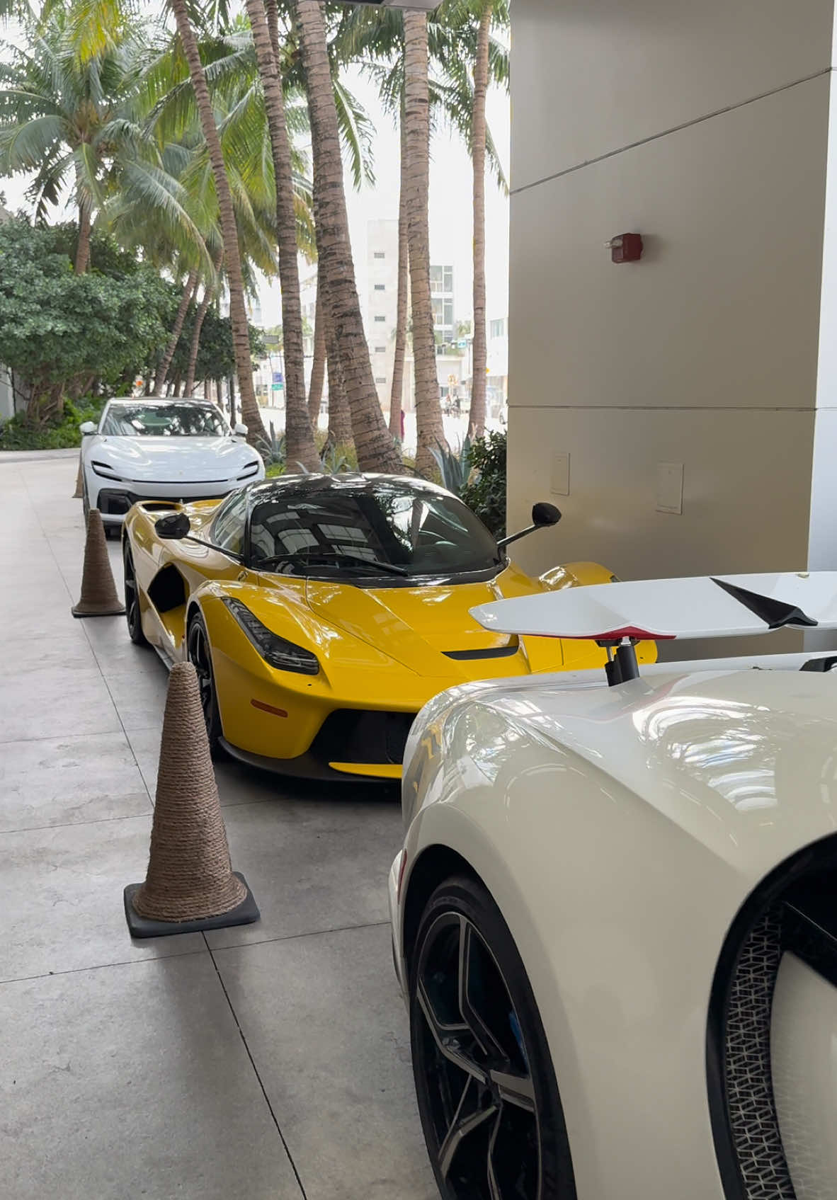 Normal day in Miami🏎️🌴 #bugatti #pursport #supersport #miami #laferrari 