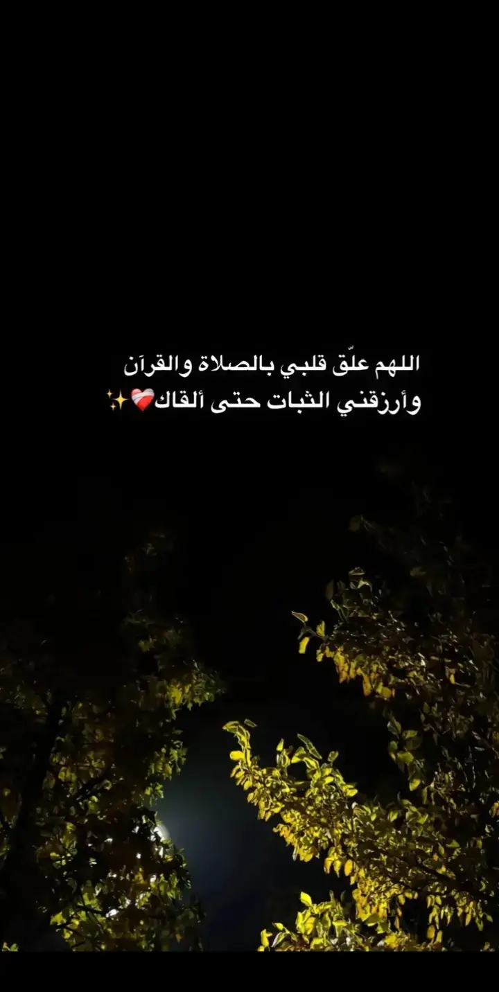 #اللهم_استقامه_مهما_مالت_بنا_الايام♥️🥀 