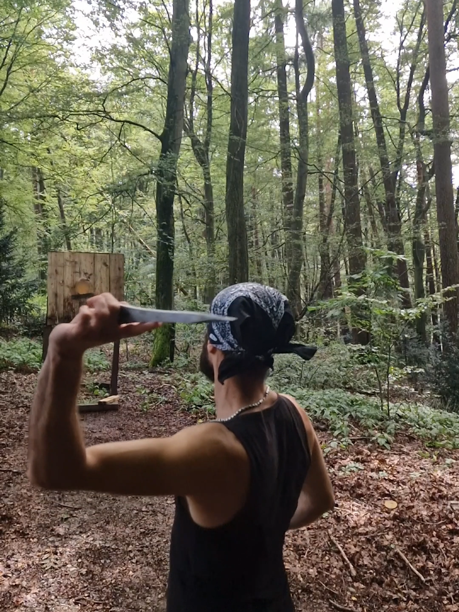 NO SPIN Knife Throw in SLOW MOTION  #czech #Knifethrowing #champion #knifeskills #knife #knives #best #knifethrower #europe #blade #blades #skills4all #skills #ninja #skill #reelsviralfb #axethrowing #hatchet #armylover #technique