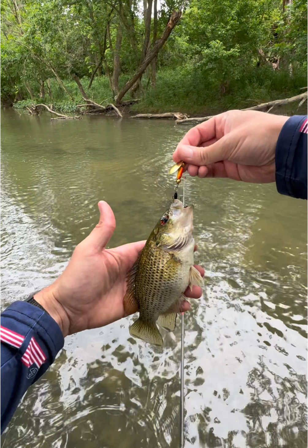 Chunky little red eye. #TeamFishTokOhio #fishing #bassfishing #ohiofishing #supportsmallbuisness #rockbass 