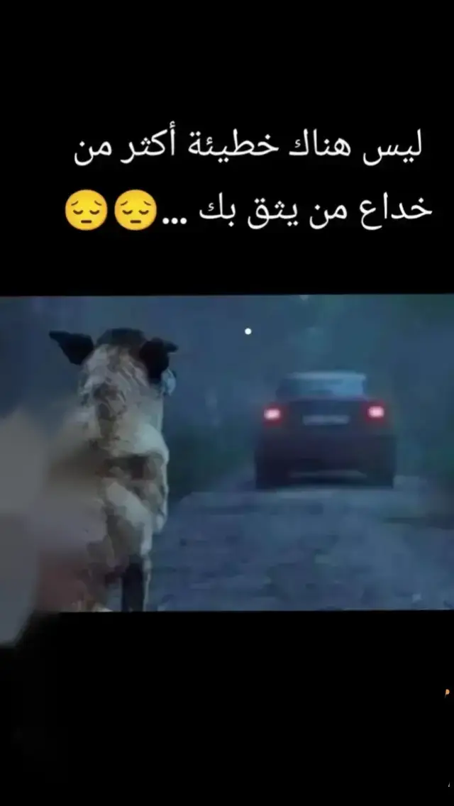 #أفلاطون #🎵🎻🎻🎻🎵 