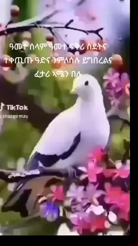 #eritreantiktok🇪🇷🇪🇷habesha #etophiya_tik_tok🇪🇹🥰 ##