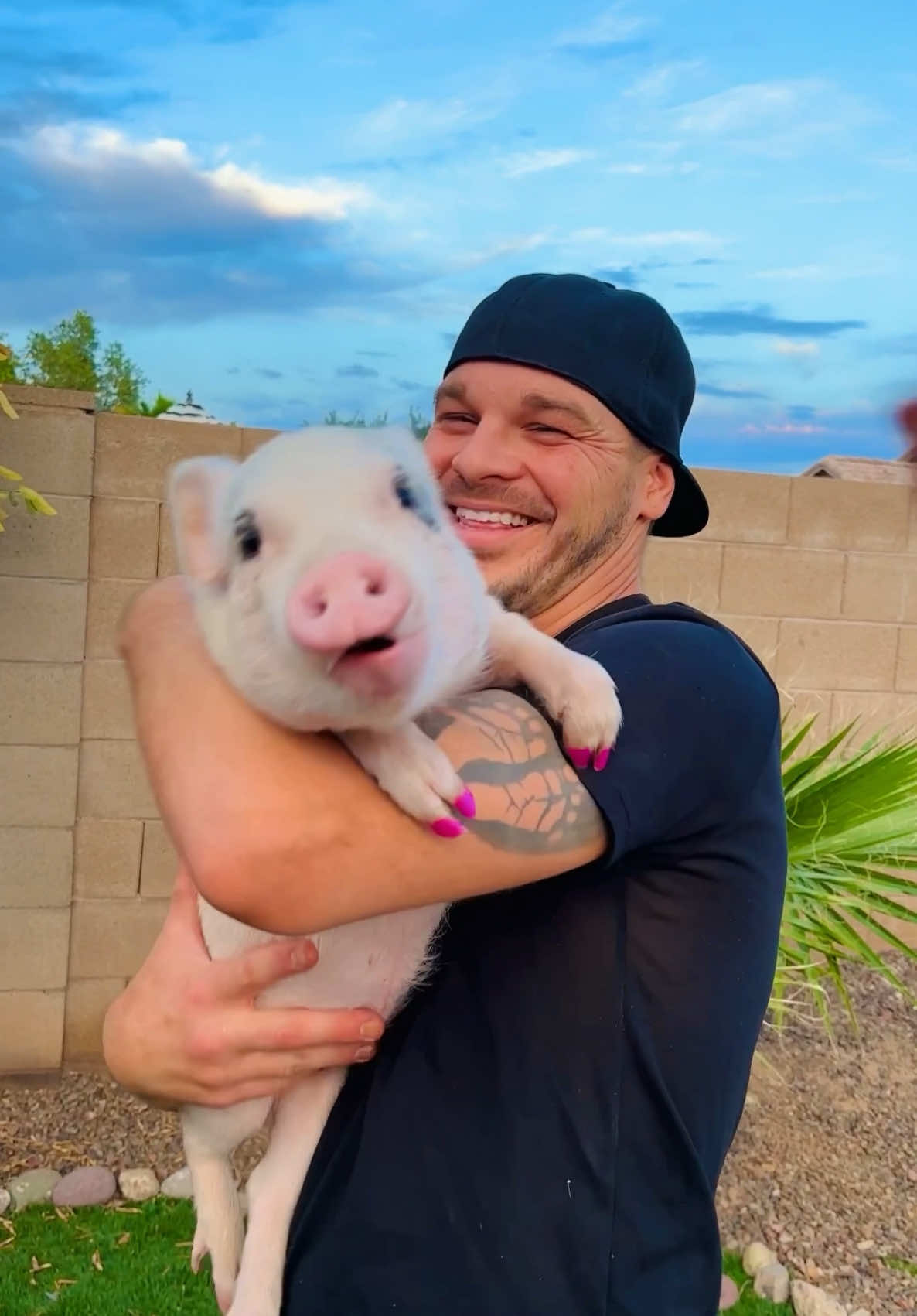 When it ALL started! A few of my lil’ pig-ster, Daisy’s, first ever famous lip lickin’ videos! 🤣🐽❤️ @Marcus Tinsley @jaceytinsley  #pigs #animalsoftiktok #babyanimals #waitforit #asmrsounds #vegan 