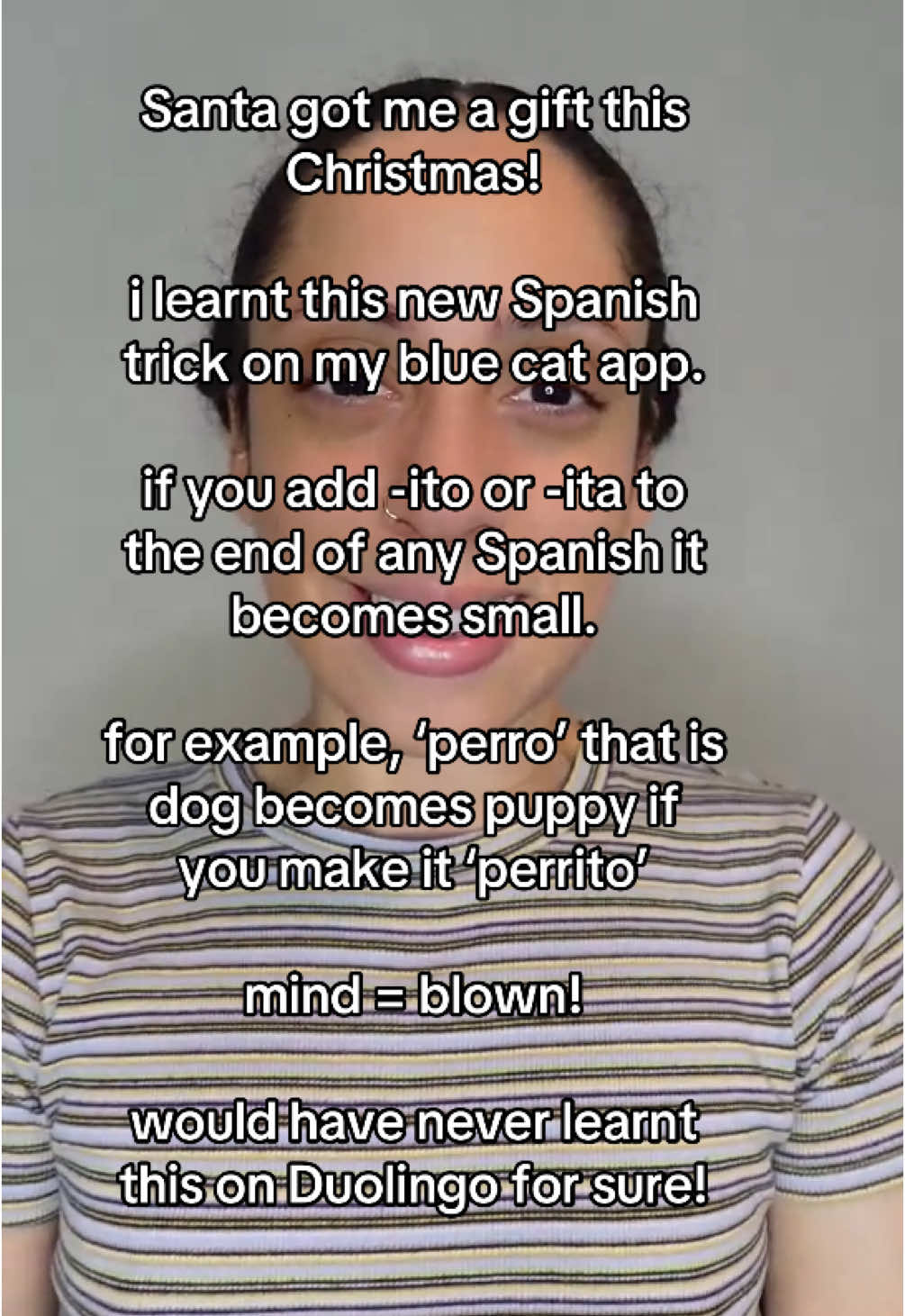 Santa brought me the gift of Spanish hacks this Christmas! 🎅✨ Perrito = puppy. Mind blown. #creatorsearchinsights #languagelearning #language #spanish #spain #french #learnfrench #korean #learnkorean #japanese #learninglanguages 