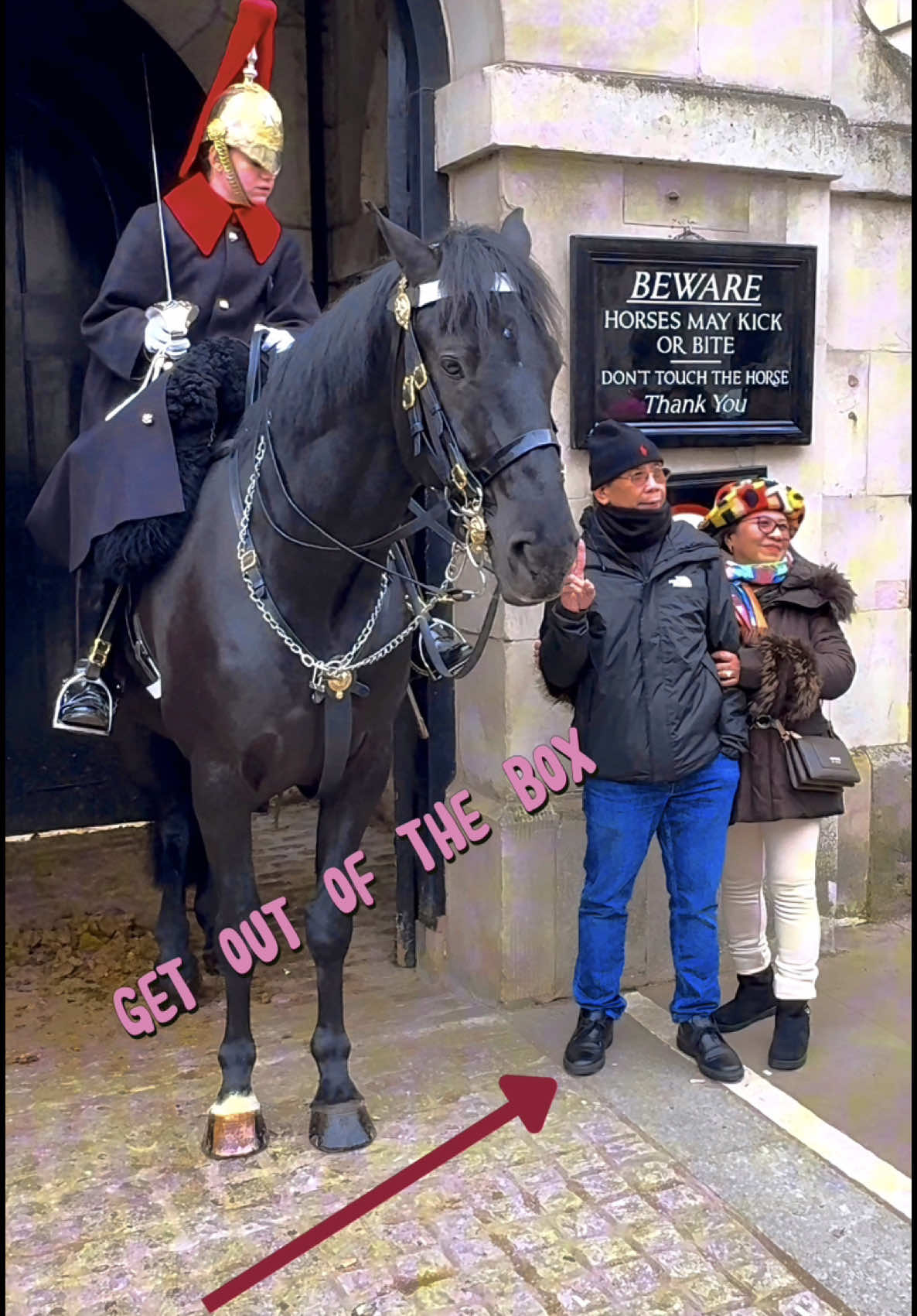 #HorseGuards #London #TikTok #ForYou #RoyalExperience #RoyalTraditions #OopsMoment #HorseGuardParade  