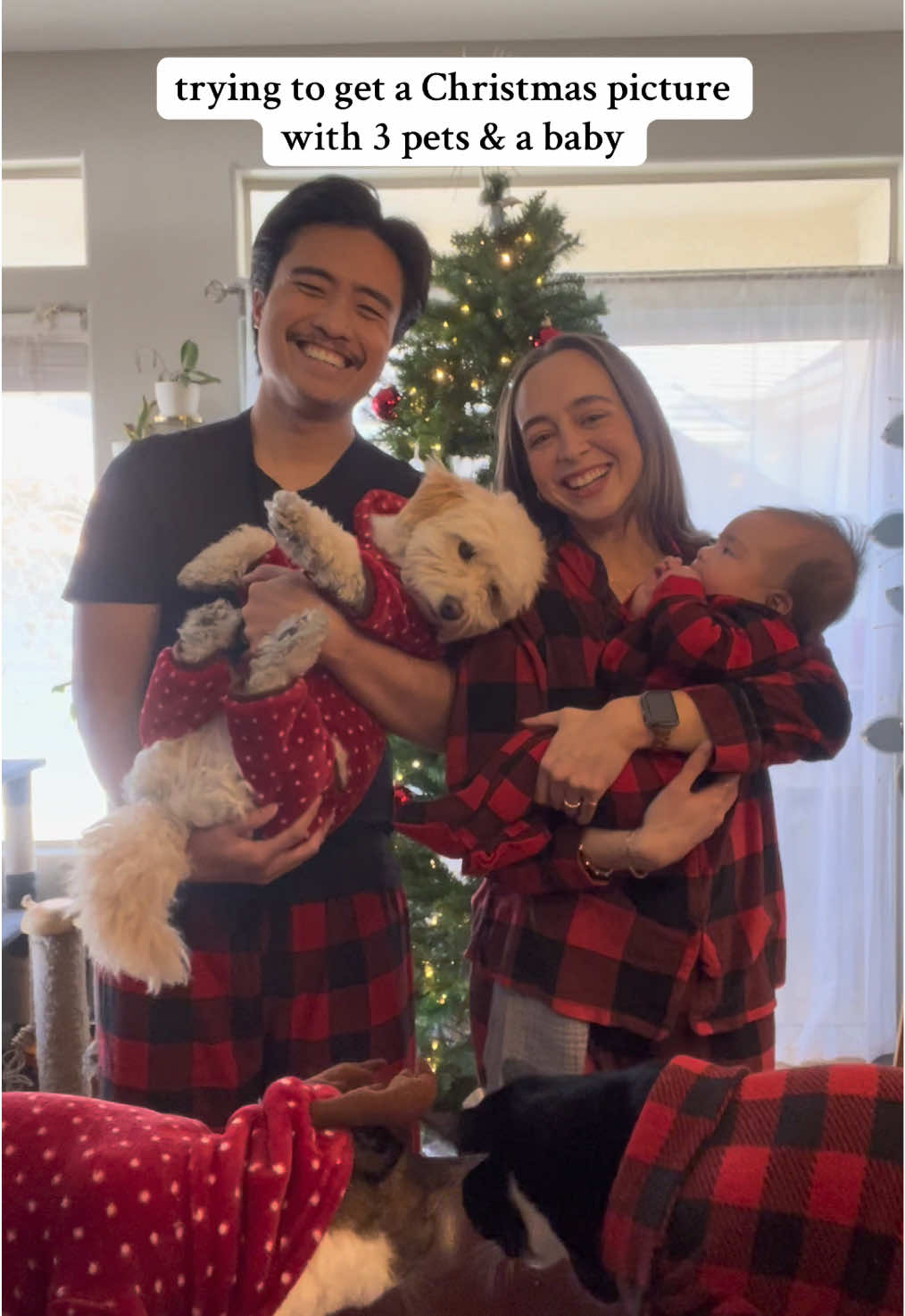 last years was hard enough, but adding a baby to the mix called for a new strategy 🎄 #christmasphotoshoot #matchingoutfits #dogsoftiktok #catsoftiktok #babiesoftiktok #familiesoftiktok 