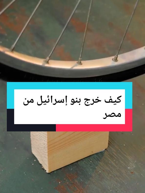 كيف خرج بنو إسرائيل من مصر ــ قصص الانبياء للشيخ محمد بن علي الشنقيطي #فلتر_تعديل_الصوت #creatorsearchinsights #Live #fouryou #tik_tok #CapCut #اسبانيا🇪🇸_ايطاليا🇮🇹_البرتغال🇵🇹 #you #اكسبلور #tranding  #viral_video #تيك_توك_أطول #اكسبلورexplore#دراهم  #تراندات_تيك_توك @دراهم 