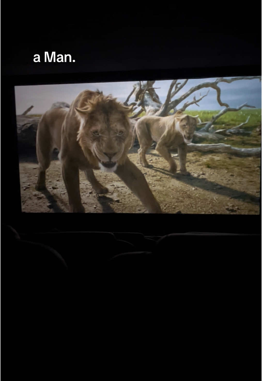 #mufasa #simba #rafiki #taka #königderlöwen #disney #scar #lion #cinema #fyppppppppppppppppppppppp #fyourpage #sarabi #kesvet #2024 #king #rafiki #spoilers⚠️ #nala 