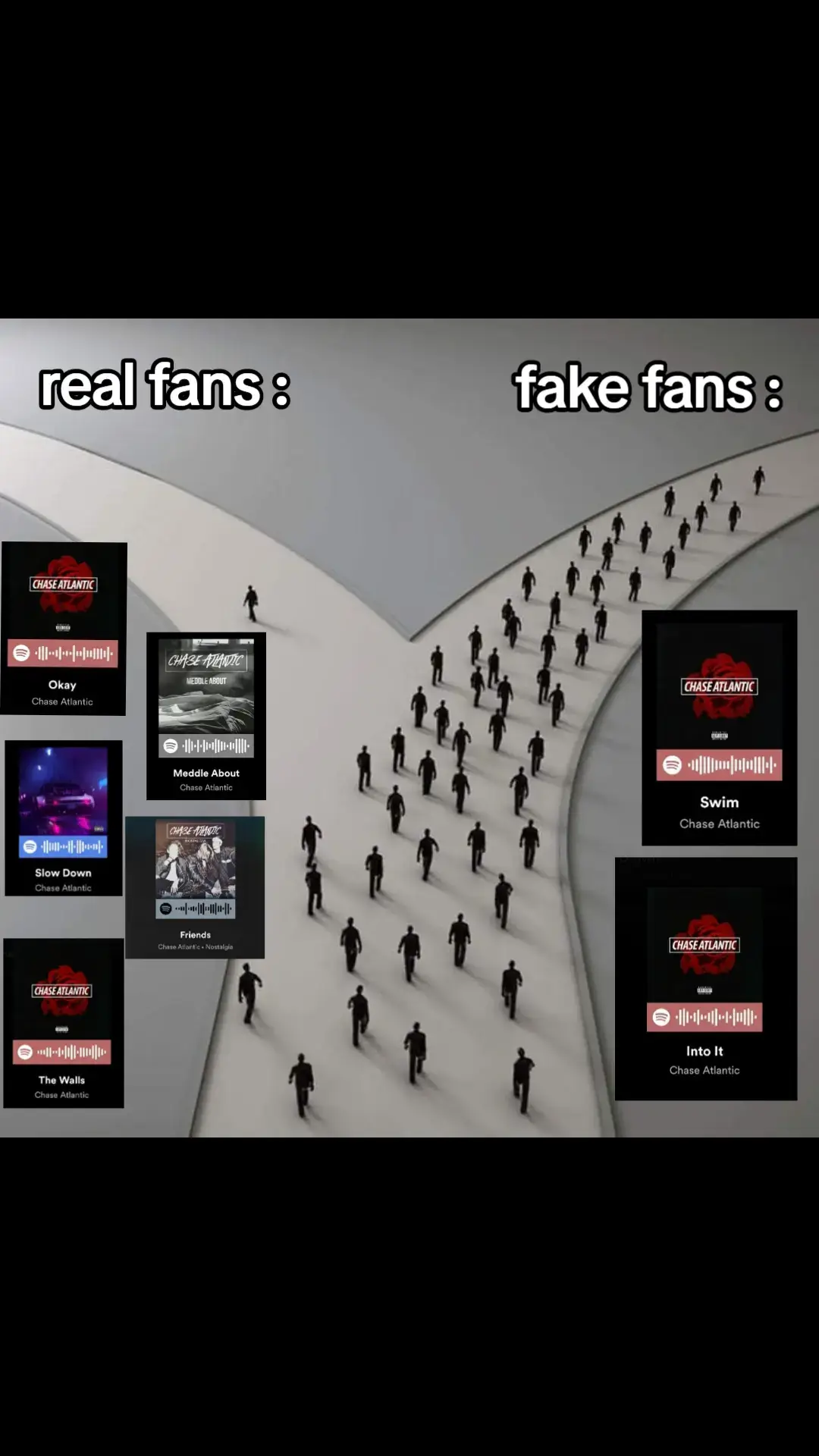 #chaseatlantic #real#fake#fans#into#it#fyp#foryou#foryoupage#foryourpage#fy#viral