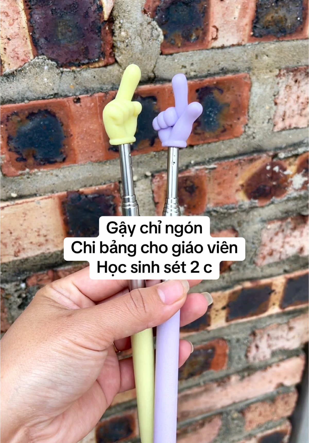 Mua ấn vào giỏ hàng nhé#gaychingon #gaychingongiaovien #quechibang #quechibangchogiaovien #xuhuong #thinhhanh 