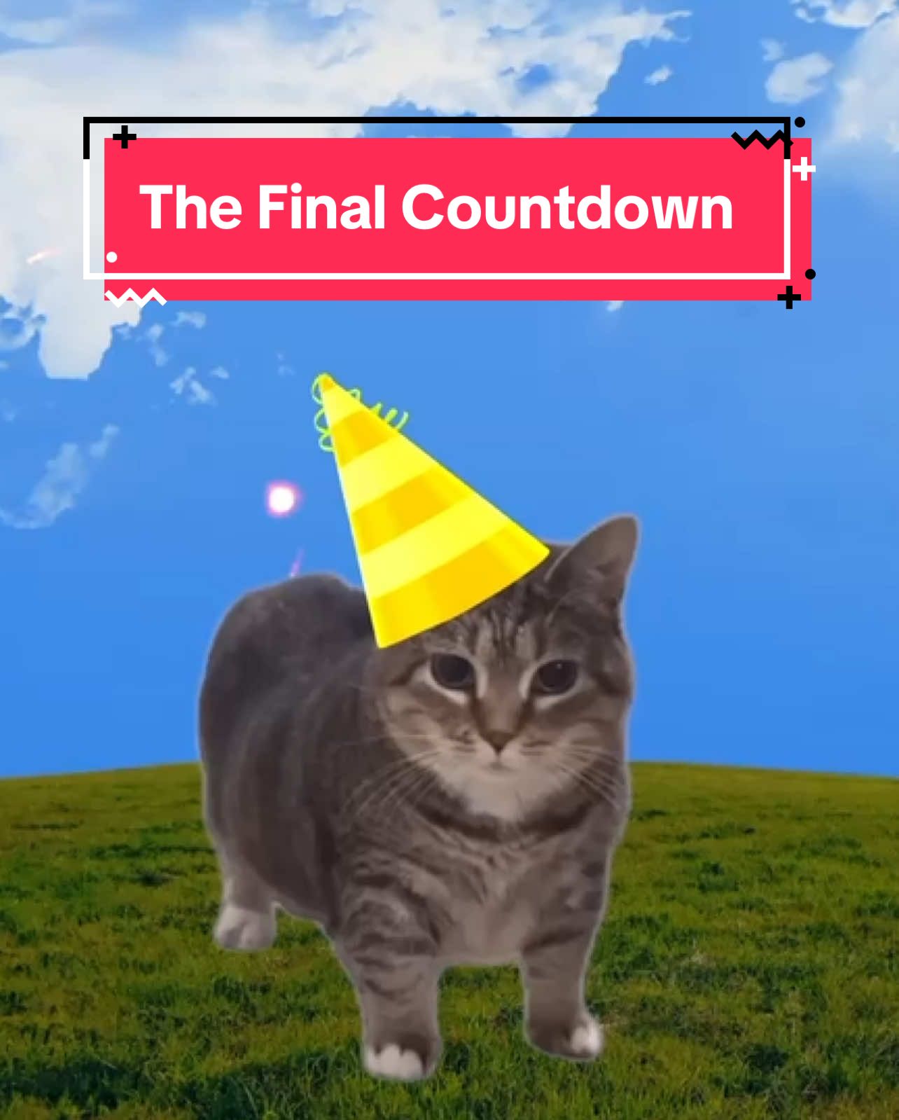 OIA cat sings The Final Countdown! #cats #catsoftiktok 