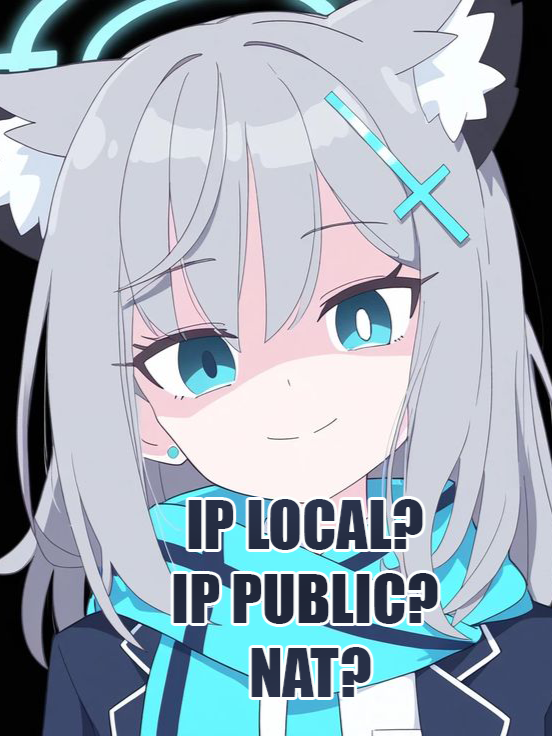 IP Lokal?, IP Publik?, dan apa hubungannya ama NAT? Gampangnya Gini Loh rek Ft. Shiroko #fyp #TKJ #Informatika #bluearchive #bluearchivememe #technology #meme #jaringan #IP #IT#network#networking