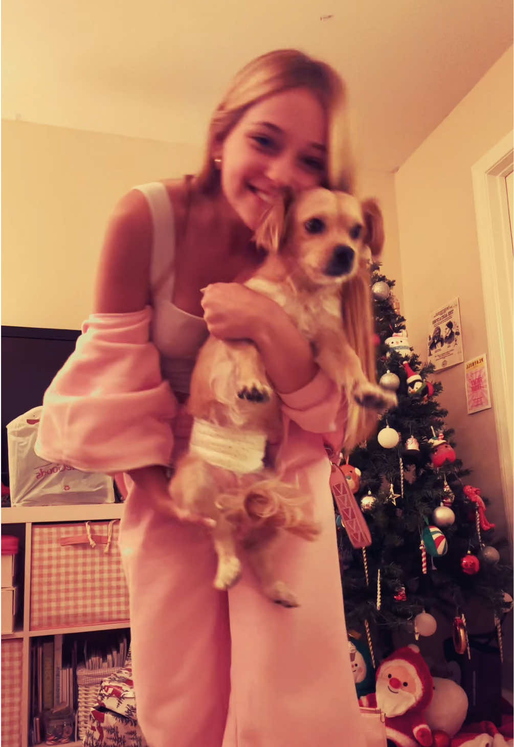 STEALING this puppy #victoriasecret #vs #2016 #puppy #holiday #alysloan 