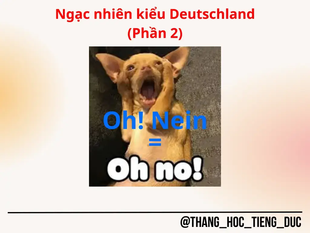 #deutschland #Deutsch #du_hoc_duc #hoc_tieng_duc_online #tiếng_đức_kó_khó 