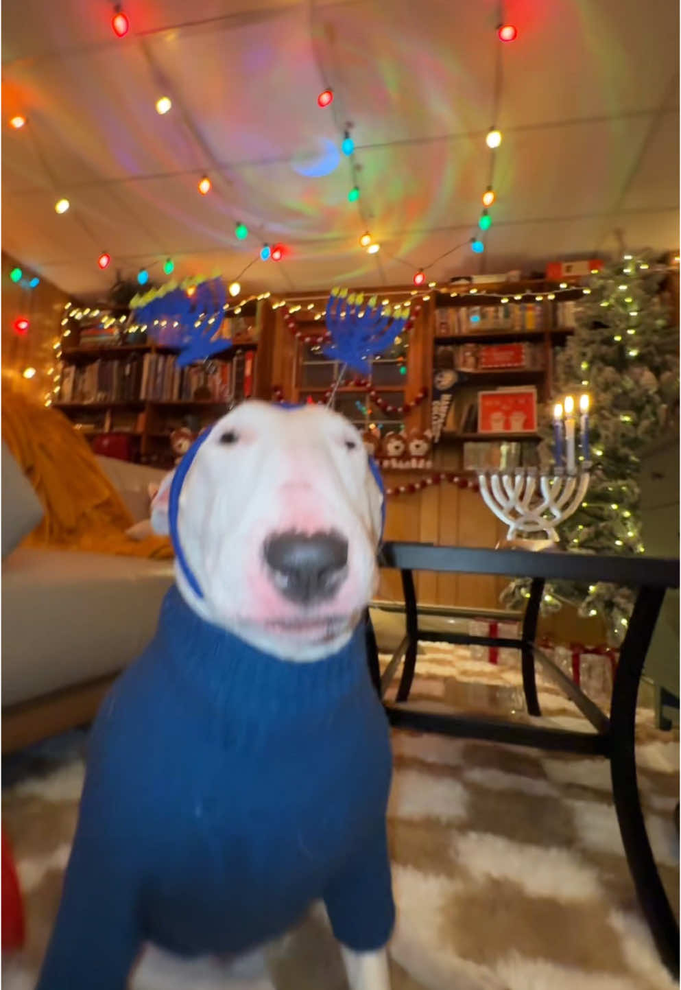 #hanukkah 