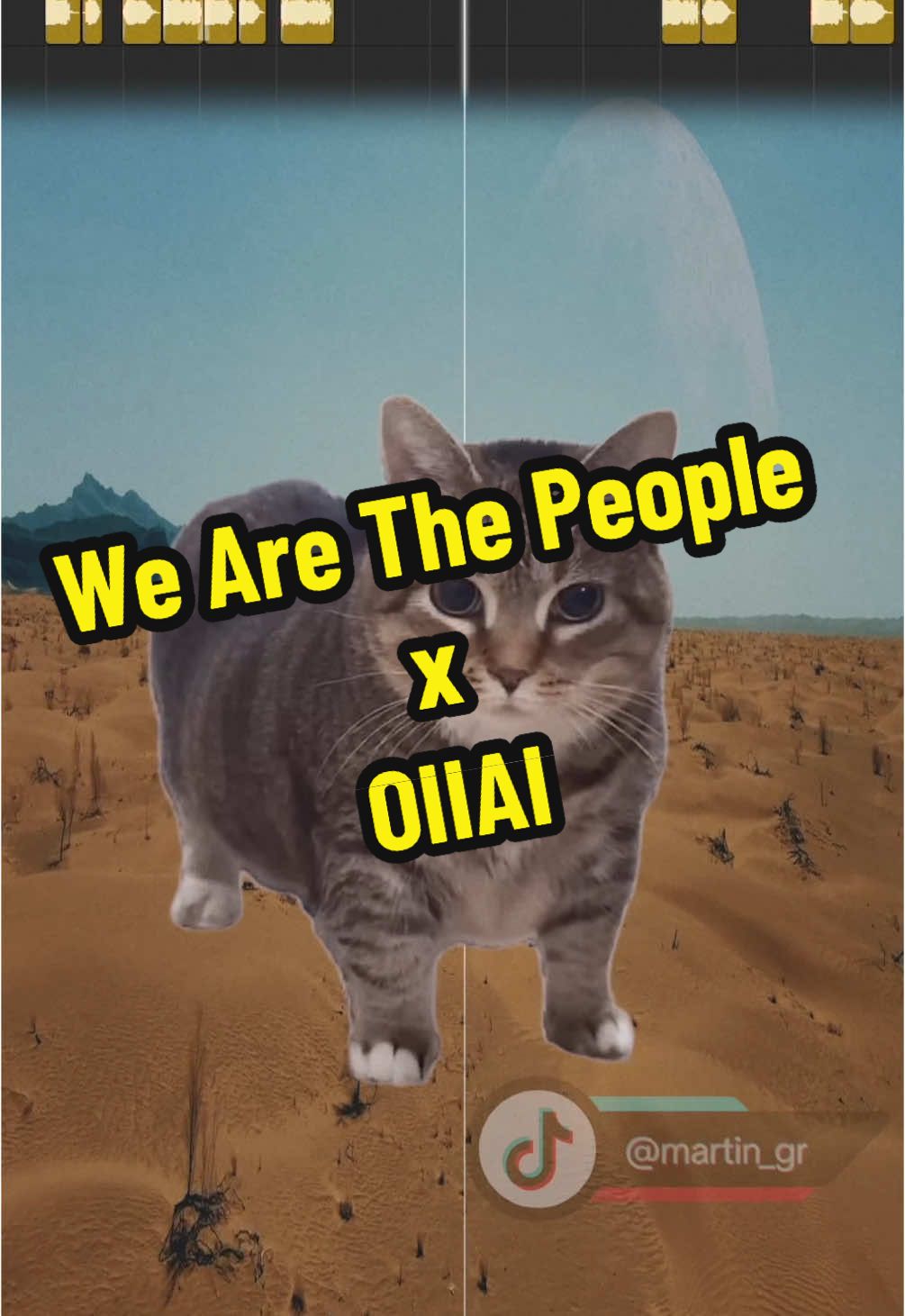 Replying to @AdCalzyy  We Are The People x OIIAI @Ethel the OIIA Cat  #cat #oiiaiiooiiai #memes #mashup #fyp #foryou #fypシ゚ #viral 