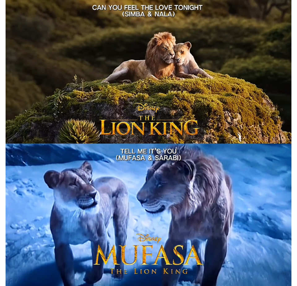 I love them both 🥹🫶 (had to speed up the first bit because TikTok mutes my video 😓) #simbaandnala #mufasaandsarabi #sarabi #mufasa #simba #nala #thelionking #mufasathelionking #mufasamovie #dontletthisflop #trending #canyoufeelthelovetonight #tellmeitsyou #spoilers⚠️ #goviral 