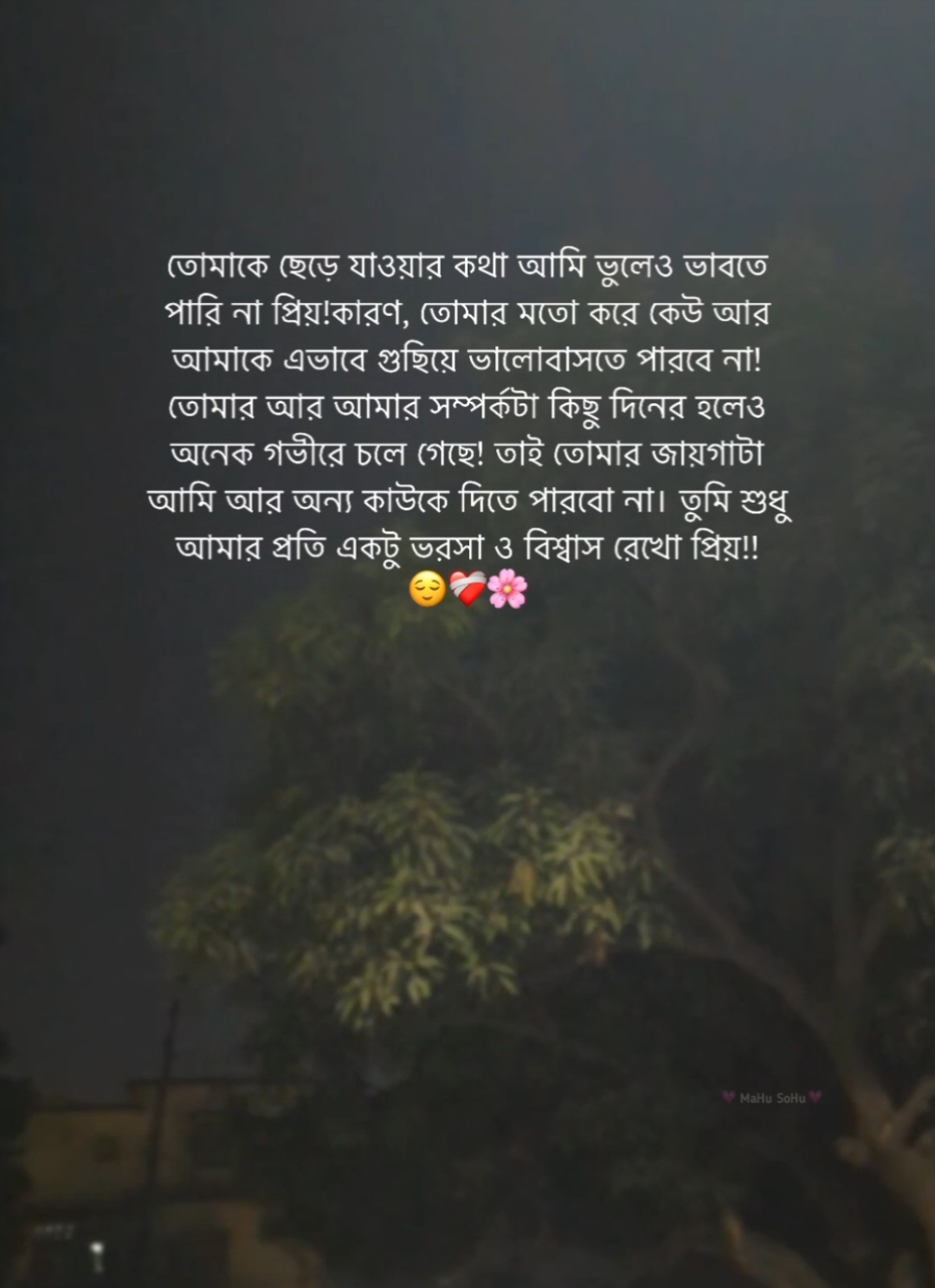 তোমাকে ছেড়ে যাওয়ার কথা আমি ভুলেও ভাবতে পারি না প্রিয়!কারণ, তোমার মতো করে কেউ আর আমাকে এভাবে গুছিয়ে ভালোবাসতে পারবে না! তোমার আর আমার সম্পর্কটা কিছু দিনের হলেও অনেক গভীরে চলে গেছে! তাই তোমার জায়গাটা আমি আর অন্য কাউকে দিতে পারবো না। তুমি শুধু আমার প্রতি একটু ভরসা ও বিশ্বাস রেখো প্রিয়!! 😌❤️‍🩹🌸 #foryou #foryoupage #fyb #status #caption #writer #mahu_sohu #viral #bdthiktok 