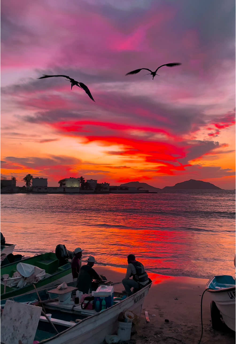 Un atardecer cualquiera entre pangas, pájaros y colores en el cielo  #mazatlan #mexico #mazatlán #mexico🇲🇽 #playa #atardecer #atardeceres #sunsetlover 