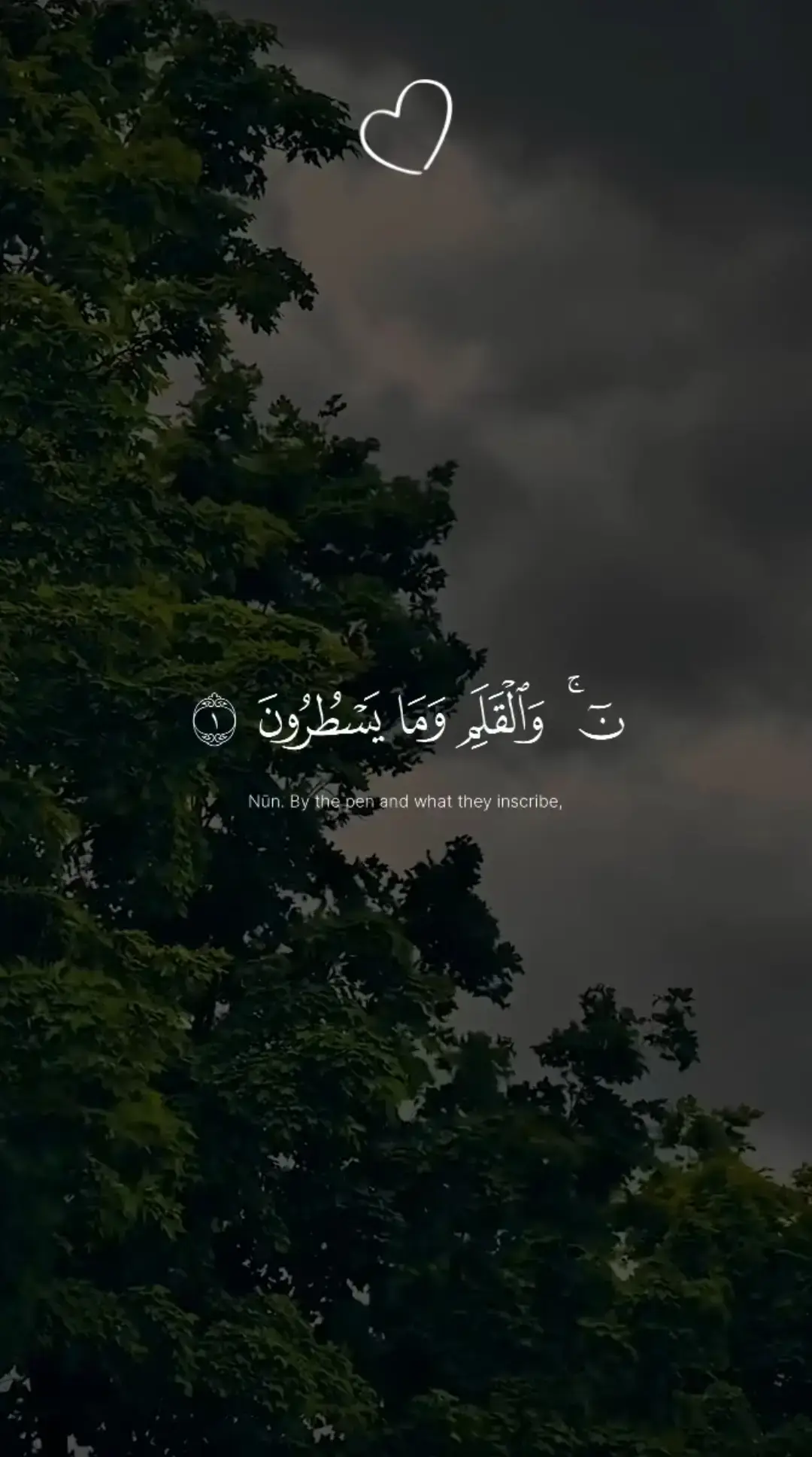 ارح سمعك.. #ارح_سمعك_بالقران #تلاوة_خاشعة #راحة_نفسية #راحه_وطمأنينه_للقلب #قران #قران_كريم 