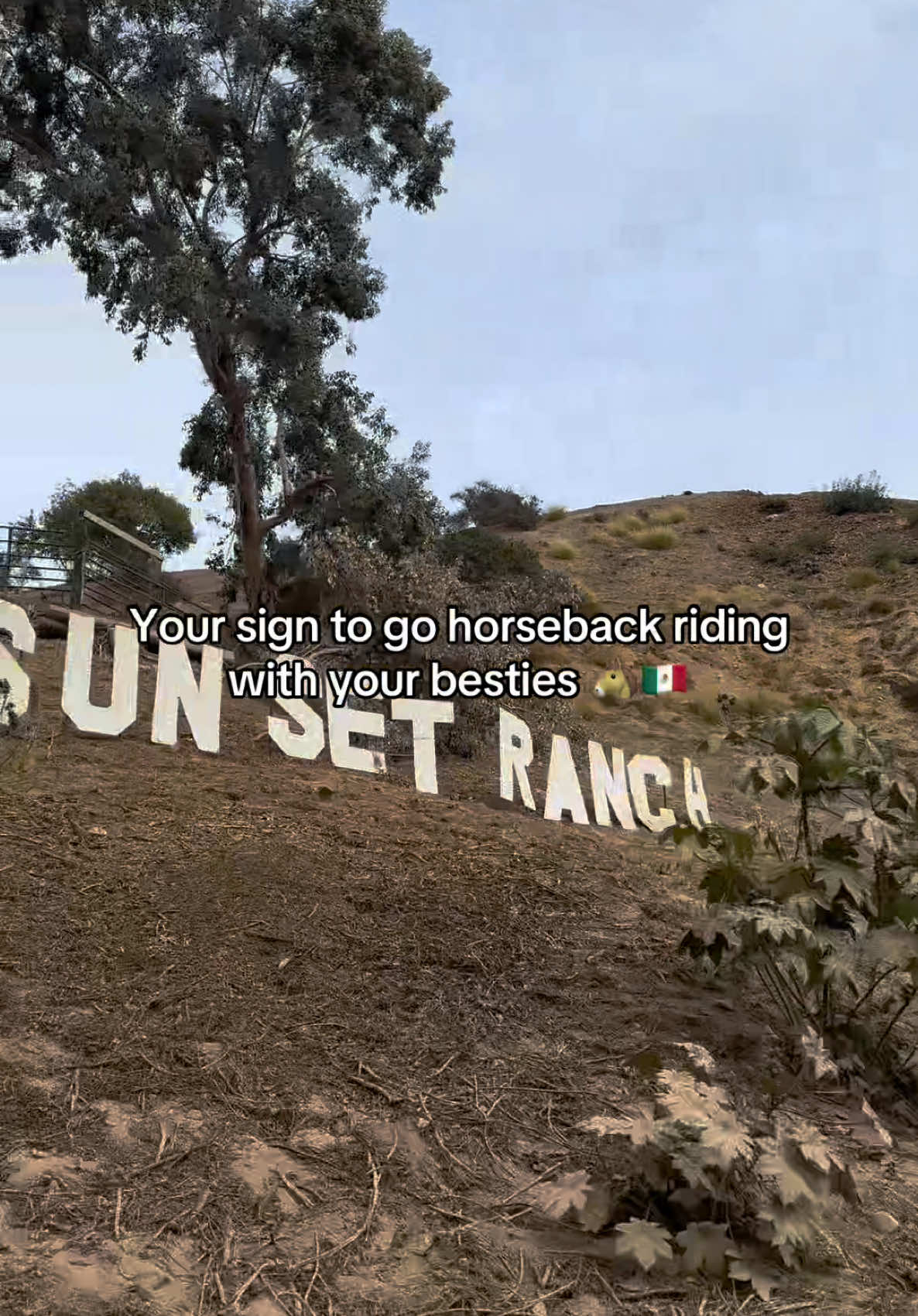 #sunsetranchhollywood #horsebackriding #frienddateideas #foryou #horseriding 