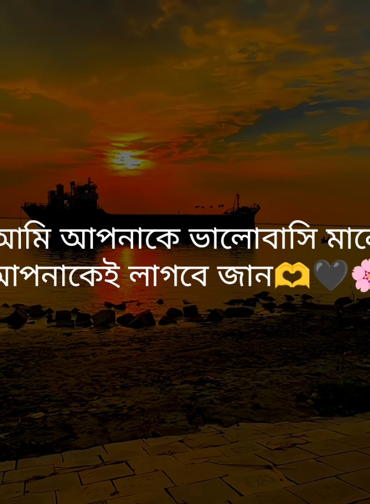 আমি আপনাকে ভালোবাসি মানে আপনাকেই লাগবে জান🫶🖤🌸#fypシ゚ #tiktok #foryou #status #tibro_03 #unfrezzmyaccount 