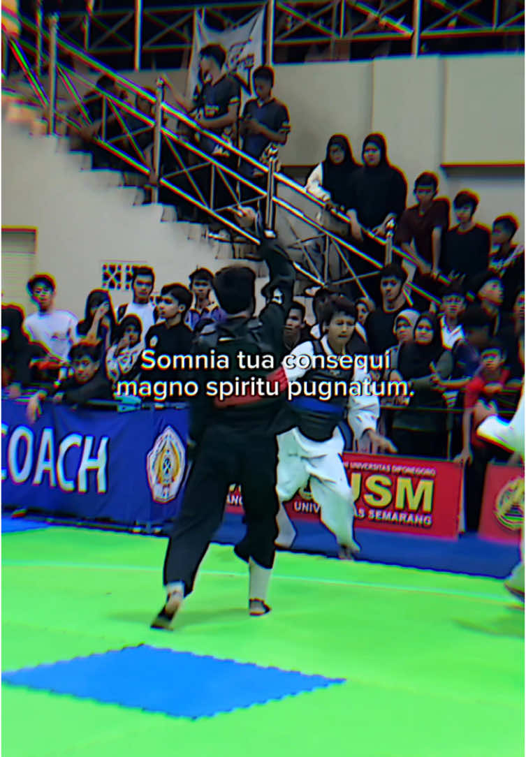 ga nyangka bisa sejauh ini #pencaksilat #silat #atlit #baimbisa 