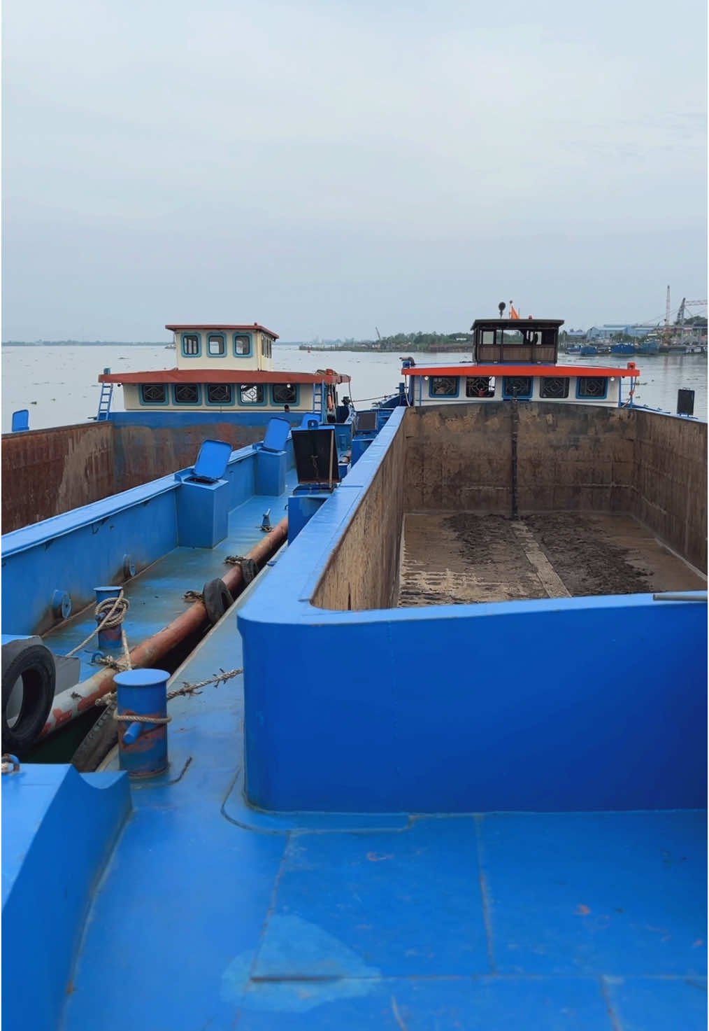 đội nhà🤣🤣#xuhuong #qt_08🤪 #vl_15765🚀 #vl_15865🚀 #salanvinhlong☘️ #64_vinhlong  