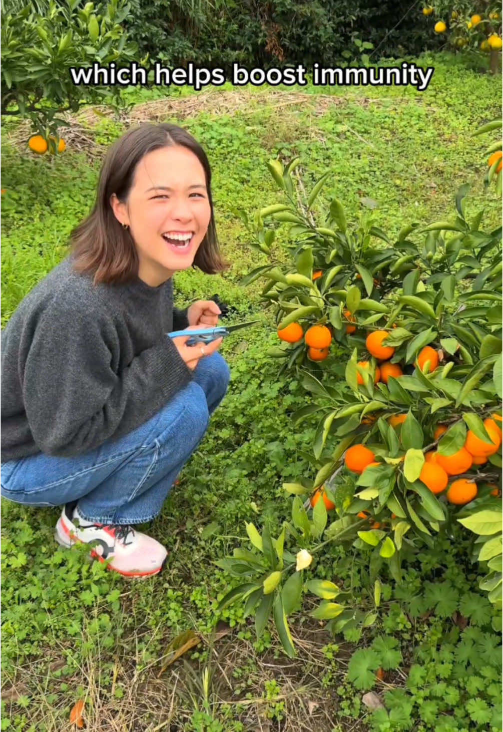 Visiting my Boyfriend’s Moms Mikan Garden in Countryside Japan 🍊🥹 Mikan is such a popular winter food here in Japan because of it being so easy to eat and the vitamins it carries. Such a cute little fruit with a lot of history ☺️ #japan #japanese #osaka #japanesefood #japantravel #japantrip #mikan 