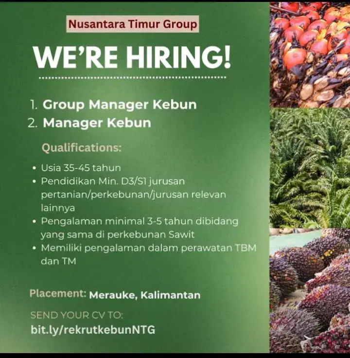 #loker2024 #lowongankerja #lowongankerja #fypp #fyppppppppppppppppppppppp #kelapasawit #loker 