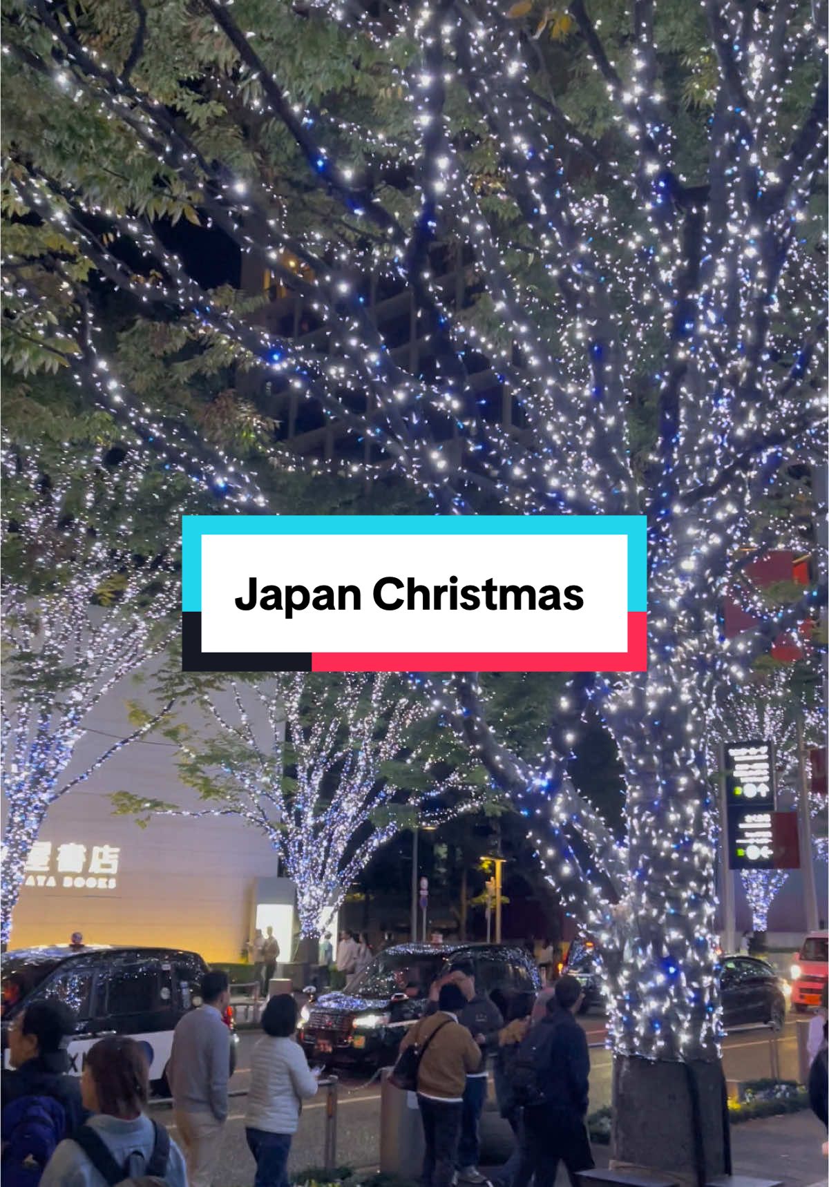 🎄✨ Merry Christmas from Japan! 🎄✨ A little compilation of Christmas lights and festive vibes in Japan. Wishing you all a cozy and joyful holiday season! 🎅❄️🎁 #merrychristmas #Japan #christmas #Illumination #Holiday #JapanTravel #winter #クリスマス #イルミネーション #日本旅行 #冬 #fyp 