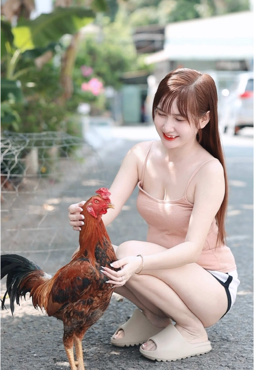 Nhạc chiến hay gà chiến hơn ? 🐓☺️ #ngocthuy #ngocthuycantho #xuhuong #xh #trending #fyp #vairal #leontiktok #thuocgadacantho #thuocnuoigada #gachoivietnam #gachien #thuocgada #ganoi #gatre 