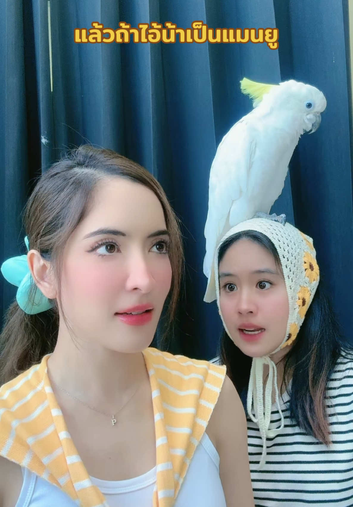 วิธีฝึกสมาธิในแต่ละวัน😆🤣 #pinkysavika #พิ้งกี้สาวิกา #คนไทยเป็นคนตลก 